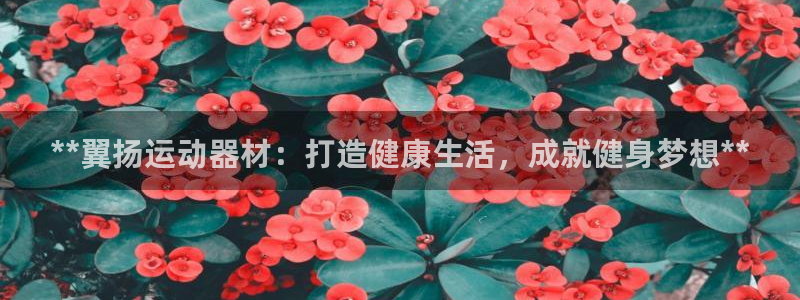 意昂体育3娱乐:**翼扬运动器材:打造健康生活,成就健身梦想