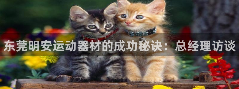 海南意昂体育3发展怎么样:东莞明安运动器材的成功秘诀:总经理