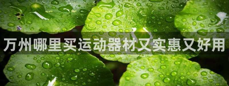意昂集团官网:万州哪里买运动器材又实惠又好用