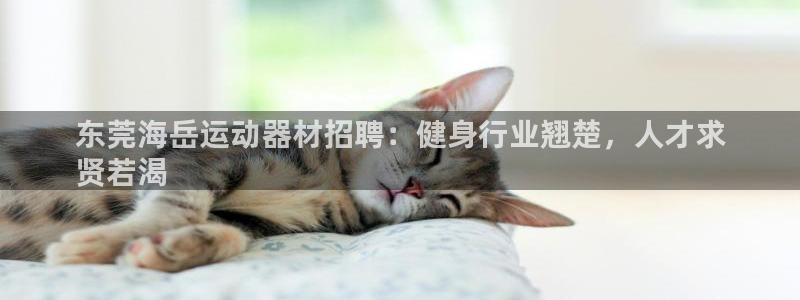 意昂3娱乐平台:东莞海岳运动器材招聘:健身行业翘楚,人才求